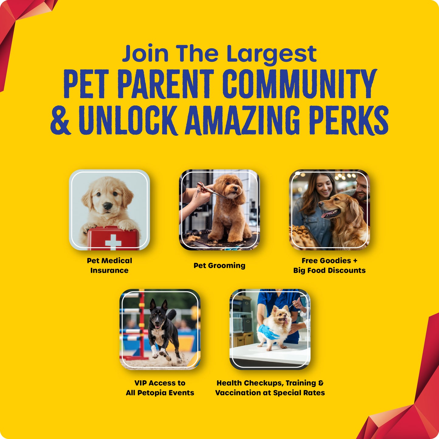 Join the largest pet parents community and unlock incredible member benefits today!