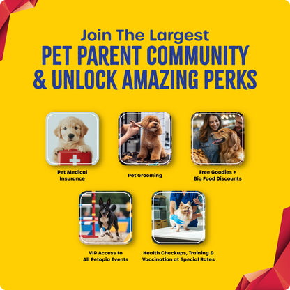Join the largest pet parents community and unlock incredible member benefits today!